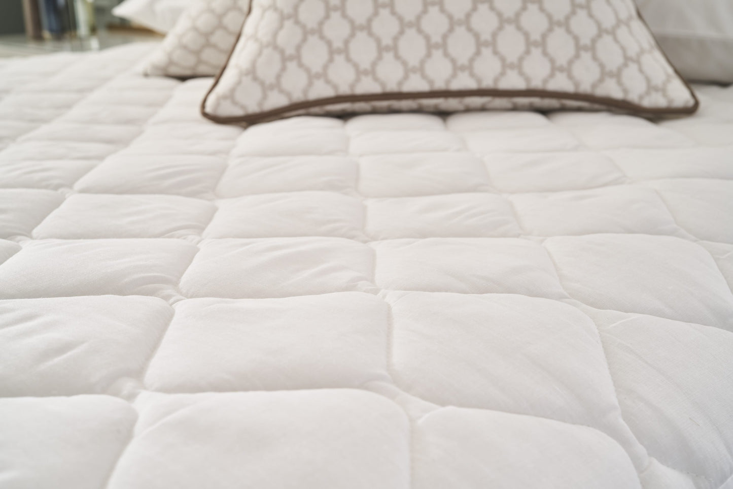 Mattress Protector