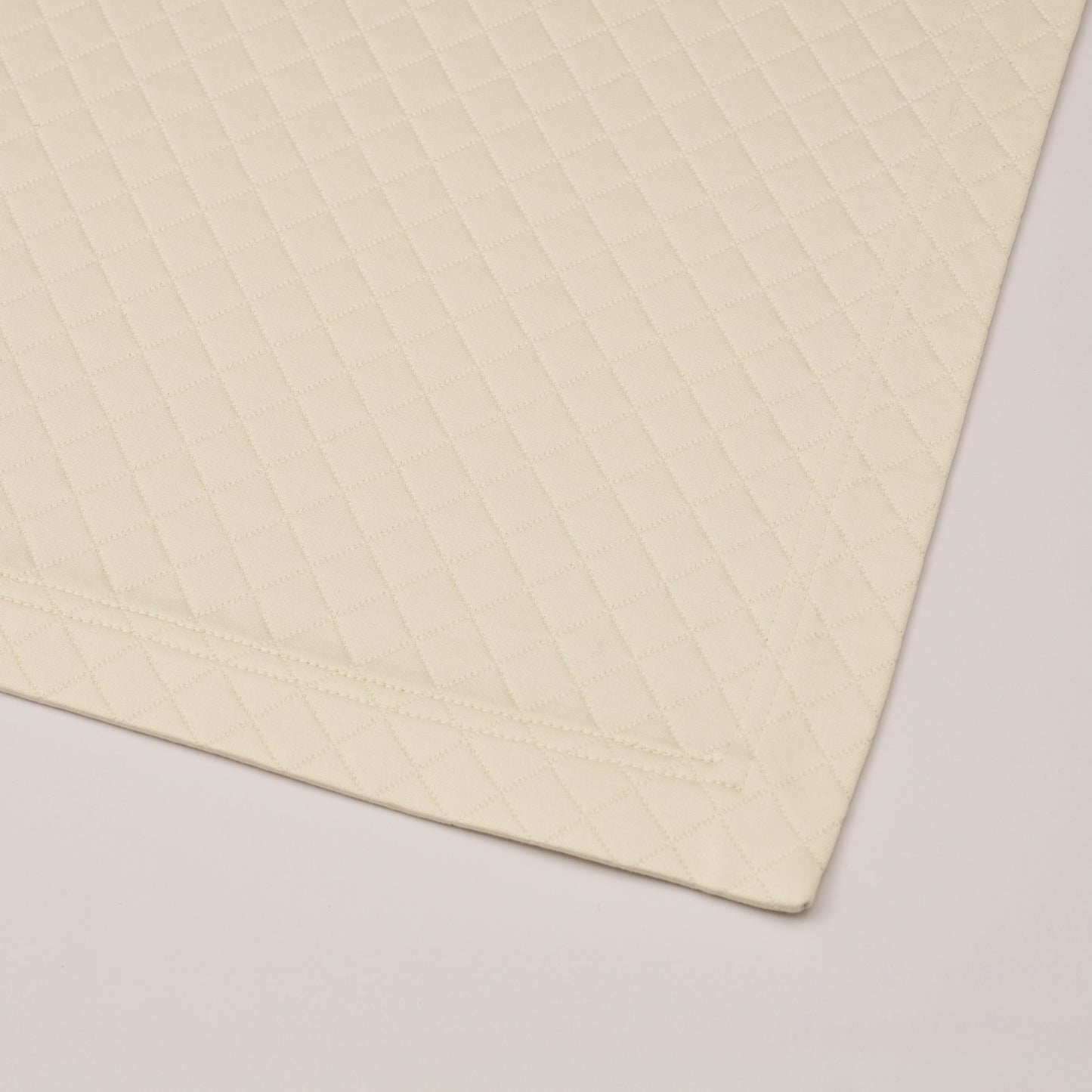 CNV1 Luggage Protector