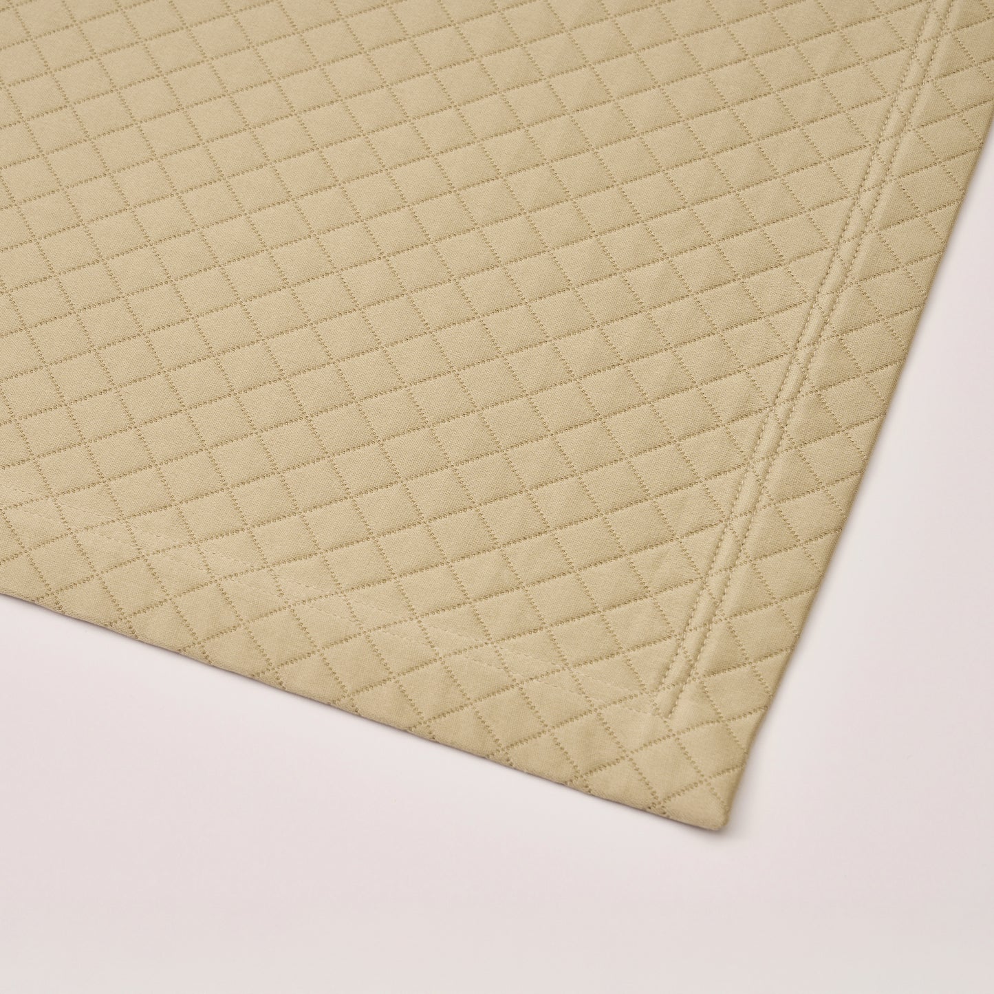 CNV1 Luggage Protector