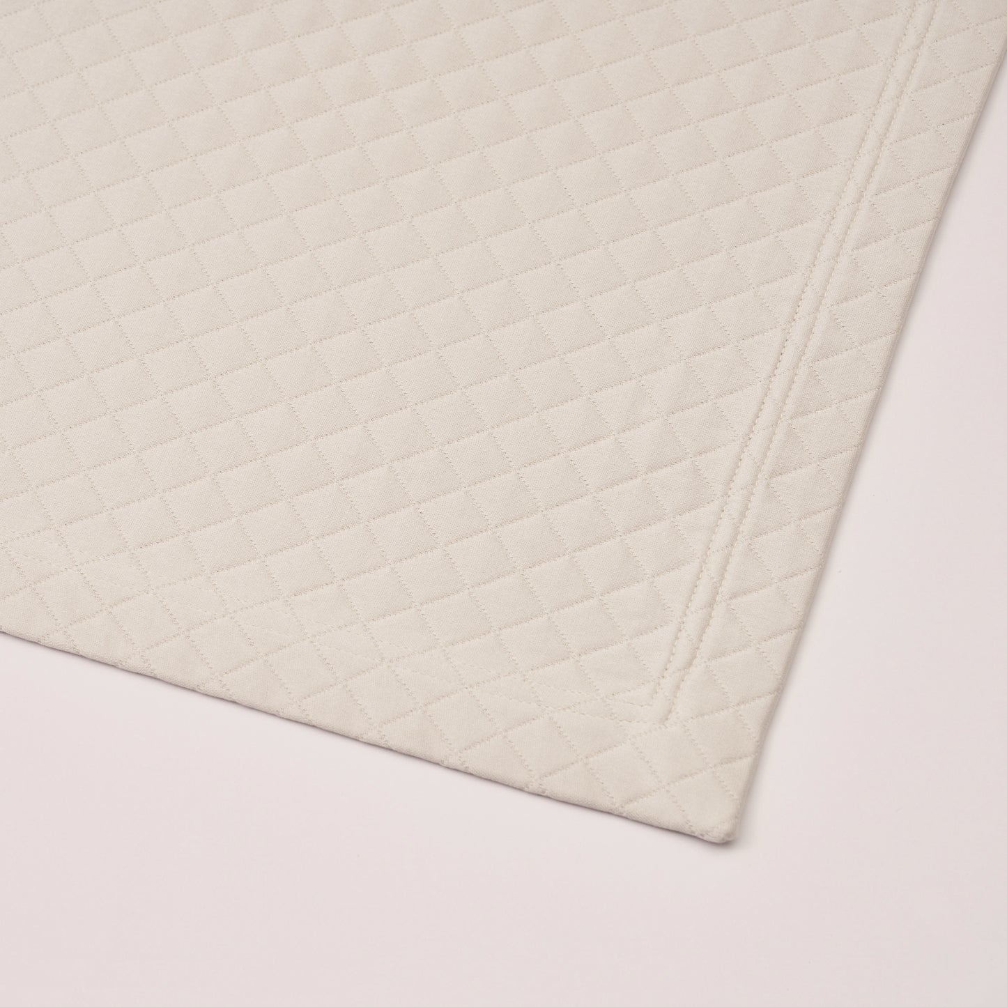 CNV1 Luggage Protector