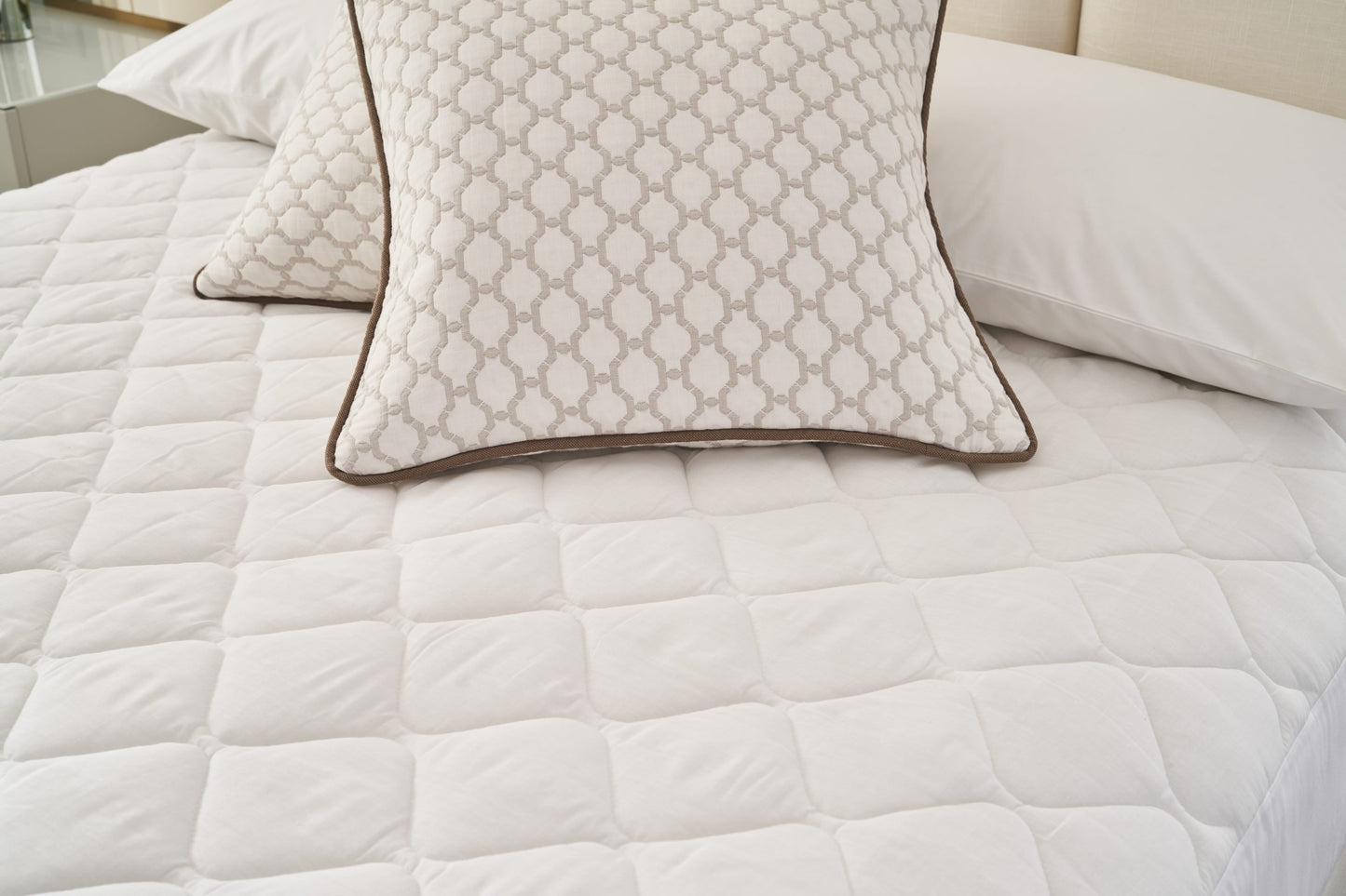 Mattress Protector