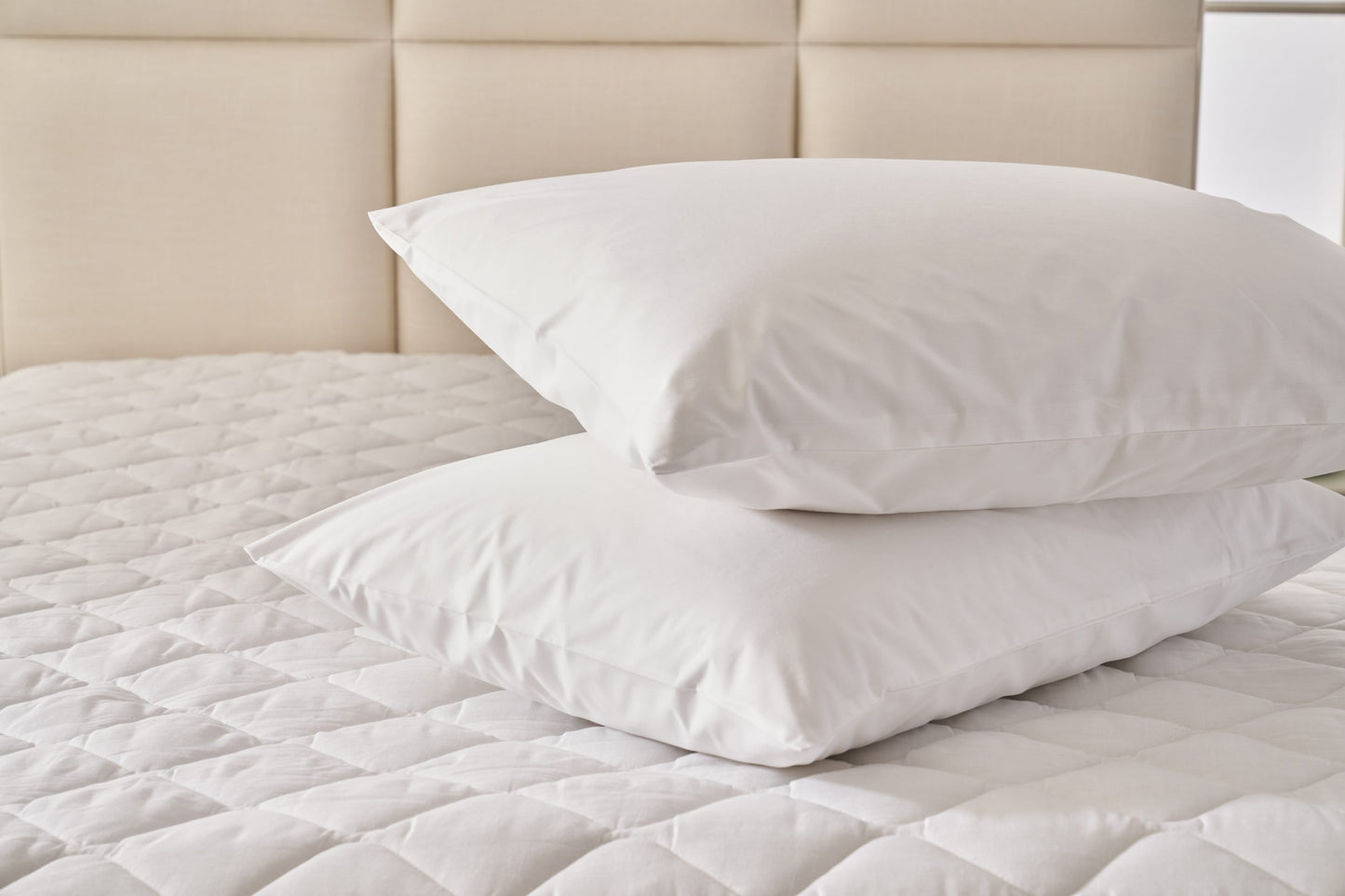 Pillow Protector