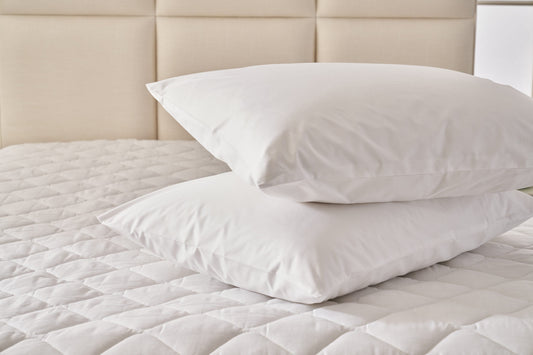 Pillow Protector